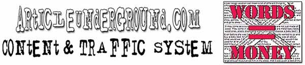 Product picture Article Underground - Jan 2011 - Content and Traffic System